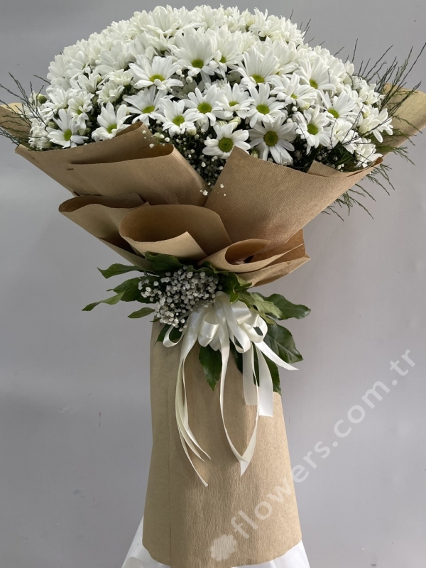 Huge Bouquet of Daisies